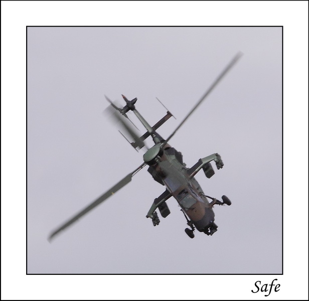 2009   05   Ferte Alais   239